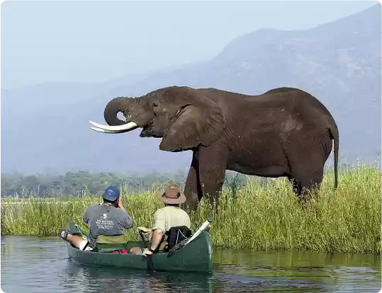 About PapuaNewGuineaTenders